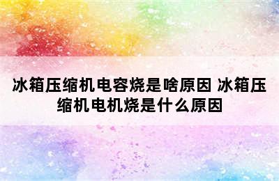 冰箱压缩机电容烧是啥原因 冰箱压缩机电机烧是什么原因